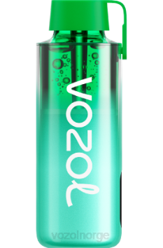 VOZOL Review | VOZOL NEON 10 000 miami mynte TDLRR229