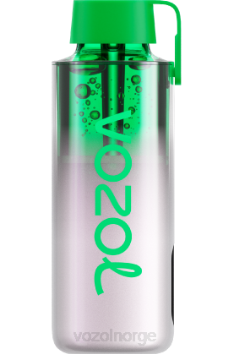 VOZOL Vape Flavours | VOZOL NEON 10 000 drue is TDLRR234