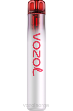 VOZOL Review | VOZOL NEON 800 vannmelon tyggegummi TDLRR259