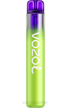 VOZOL Vape Flavours | VOZOL NEON 800 regnbuegodteri TDLRR254