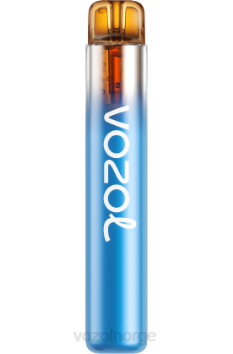 VOZOL Vape | VOZOL NEON 800 skogsbærstorm TDLRR270