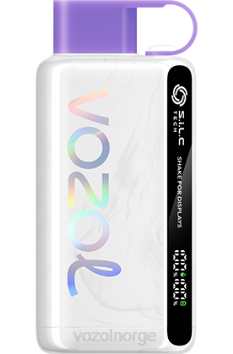 VOZOL Vape Flavours | VOZOL STAR 9000/12000 drue is TDLRR24