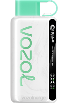 VOZOL Vape Flavours | VOZOL STAR 9000/12000 vannmelon tyggegummi TDLRR34