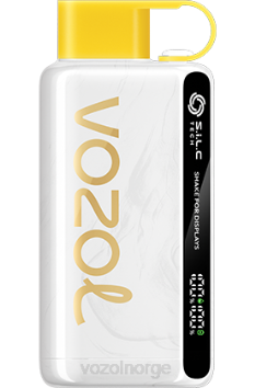 VOZOL Vape Near Me | VOZOL STAR 9000/12000 kiwi pasjonsfrukt guava TDLRR25