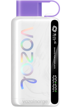 VOZOL Vape Shop | VOZOL STAR 9000/12000 regnbuegodteri TDLRR47