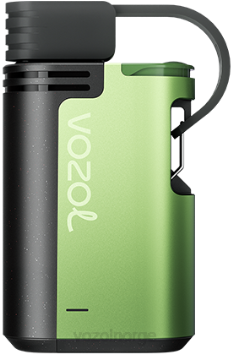 VOZOL Review | VOZOL GEAR 4000c/6000 vannmelon is TDLRR329