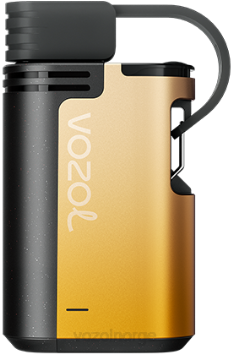 VOZOL Vape Shop | VOZOL GEAR 4000c/6000 mango pasjonsfrukt TDLRR327