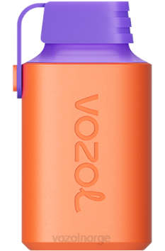 VOZOL Norge | VOZOL GEAR 600 litchi guava vannmelon TDLRR353