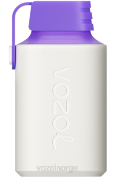 VOZOL Vape | VOZOL GEAR 600 skogsbærenergi TDLRR350