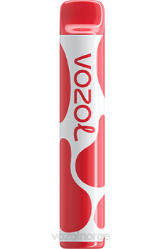 VOZOL Review | VOZOL JOYGO 600 fersken is TDLRR389