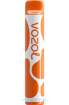 VOZOL Review | VOZOL JOYGO 600 kaffe TDLRR379