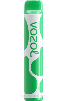 VOZOL Vape Flavours | VOZOL JOYGO 600 vannmelon tyggegummi TDLRR394