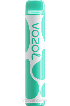 VOZOL Vape Shop | VOZOL JOYGO 600 mentol TDLRR387