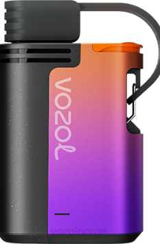 VOZOL Vape Flavours | VOZOL GEAR 4000c/6000 skogsbærstorm TDLRR324