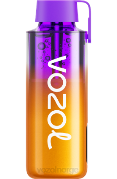 VOZOL Vape Near Me | VOZOL NEON 10 000 blandede bær TDLRR235