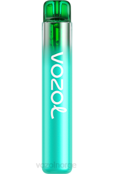 VOZOL Vape Norge | VOZOL NEON 800 mr blå TDLRR251